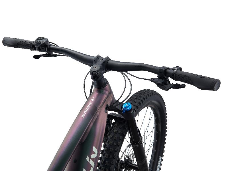 Elektrokolo liv 1913 intrigue x e+ 2 pro 29er barva dark iridescent 6